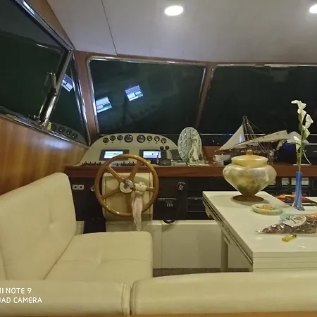 Botel Jack&russel Àrbatax